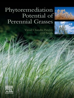 cover image of Phytoremediation Potential of Perennial Grasses